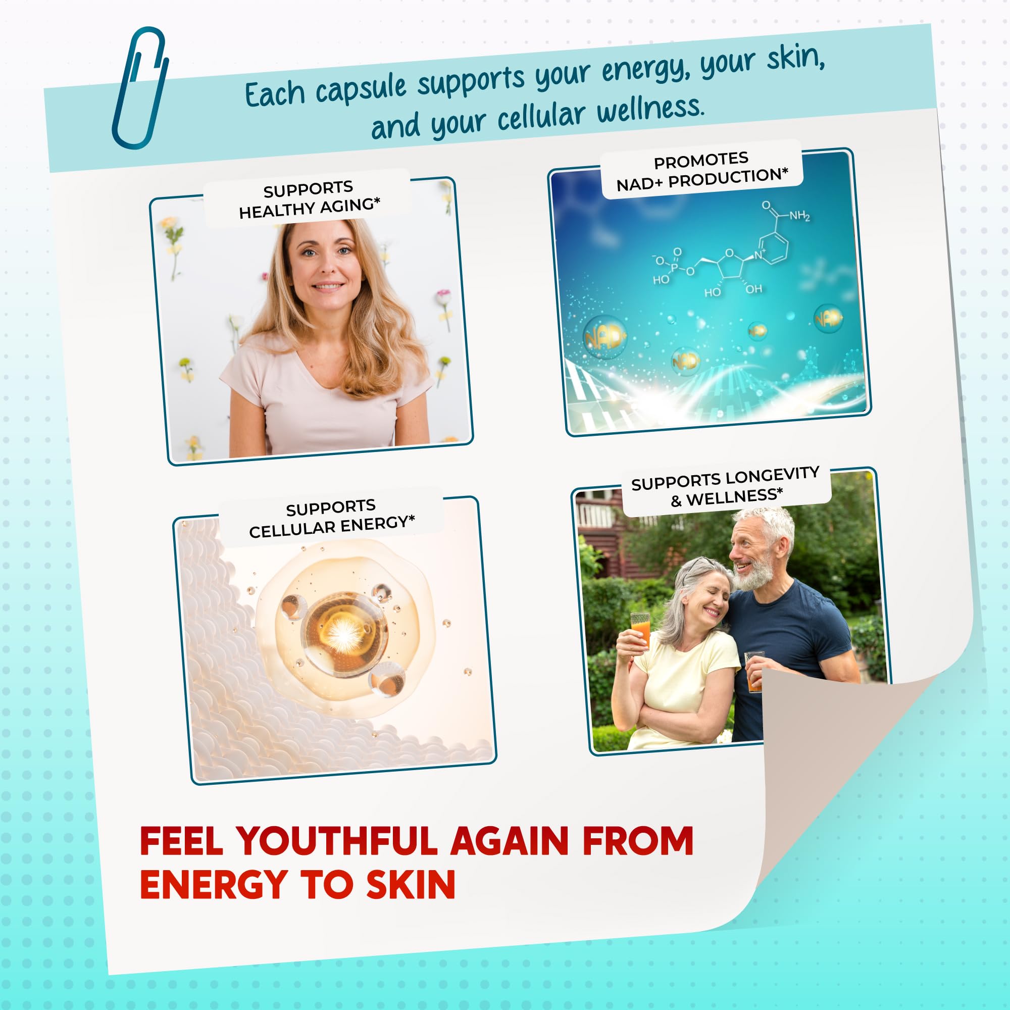 Graphic of 13-in-1 longevity complex ingredients