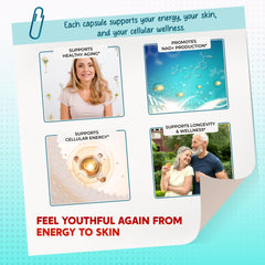 Graphic of 13-in-1 longevity complex ingredients