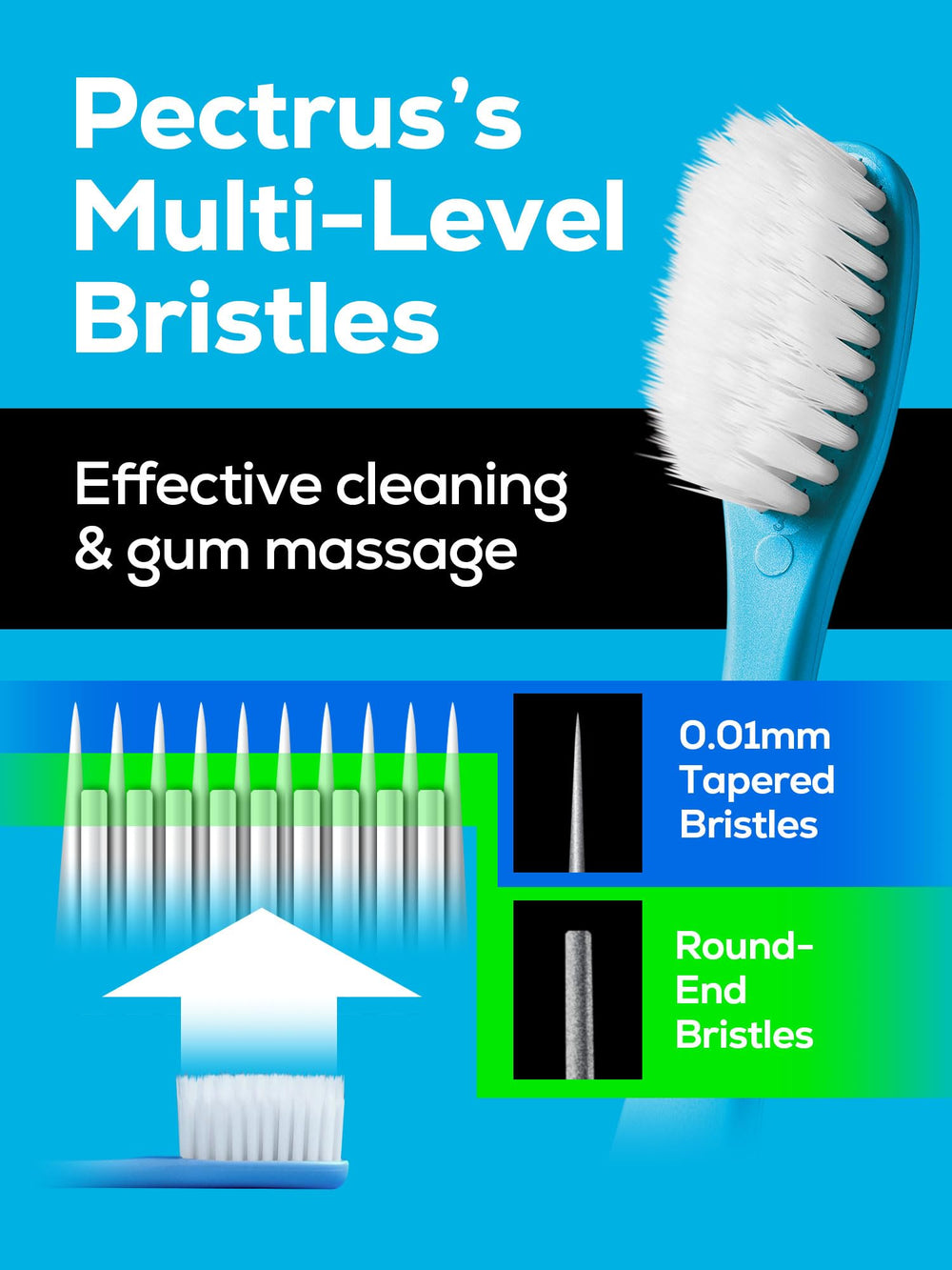 Ergonomic handle of PECTRUS toothbrush in assorted colors
