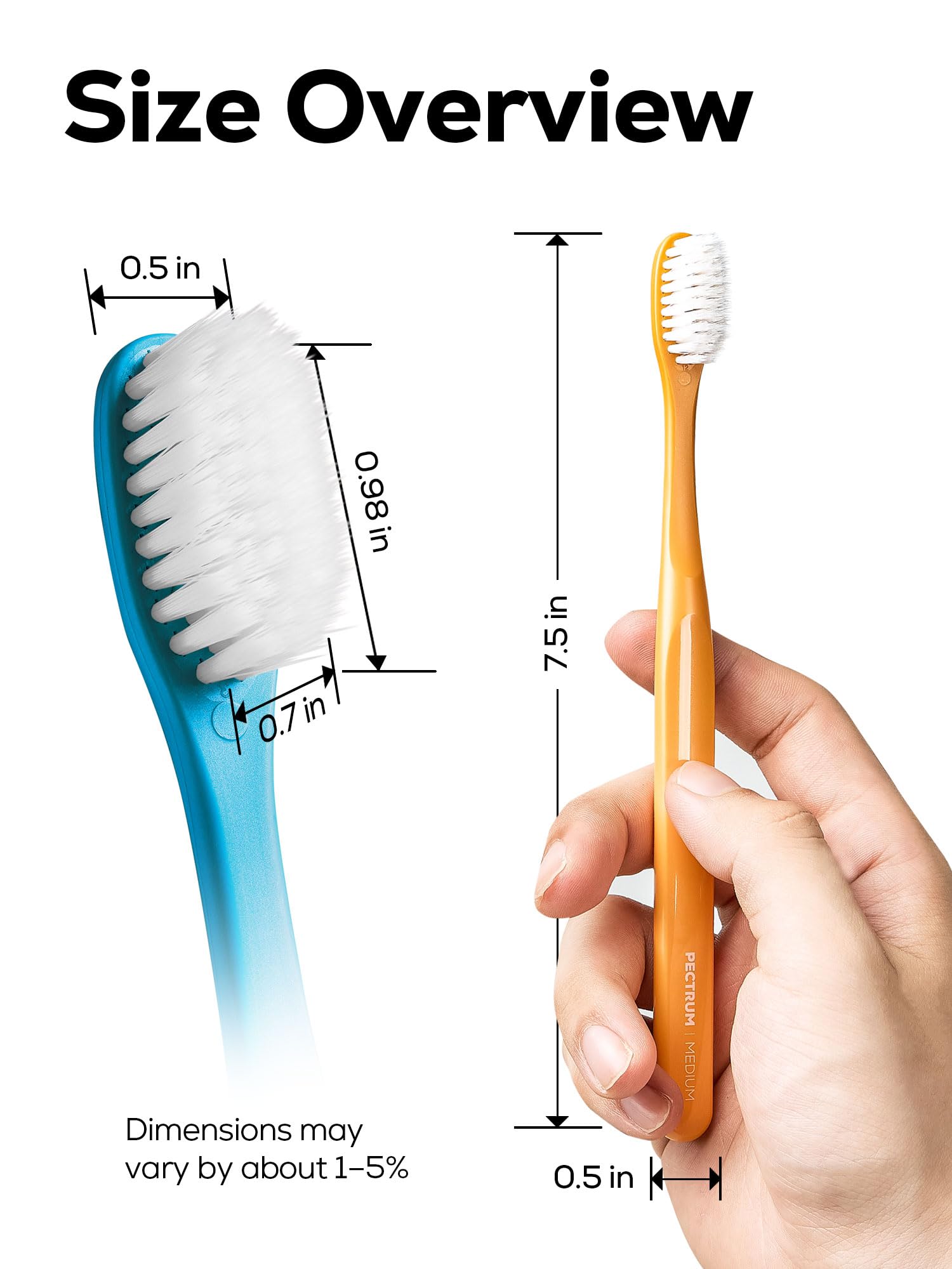Pectrus toothbrush with teal color handle