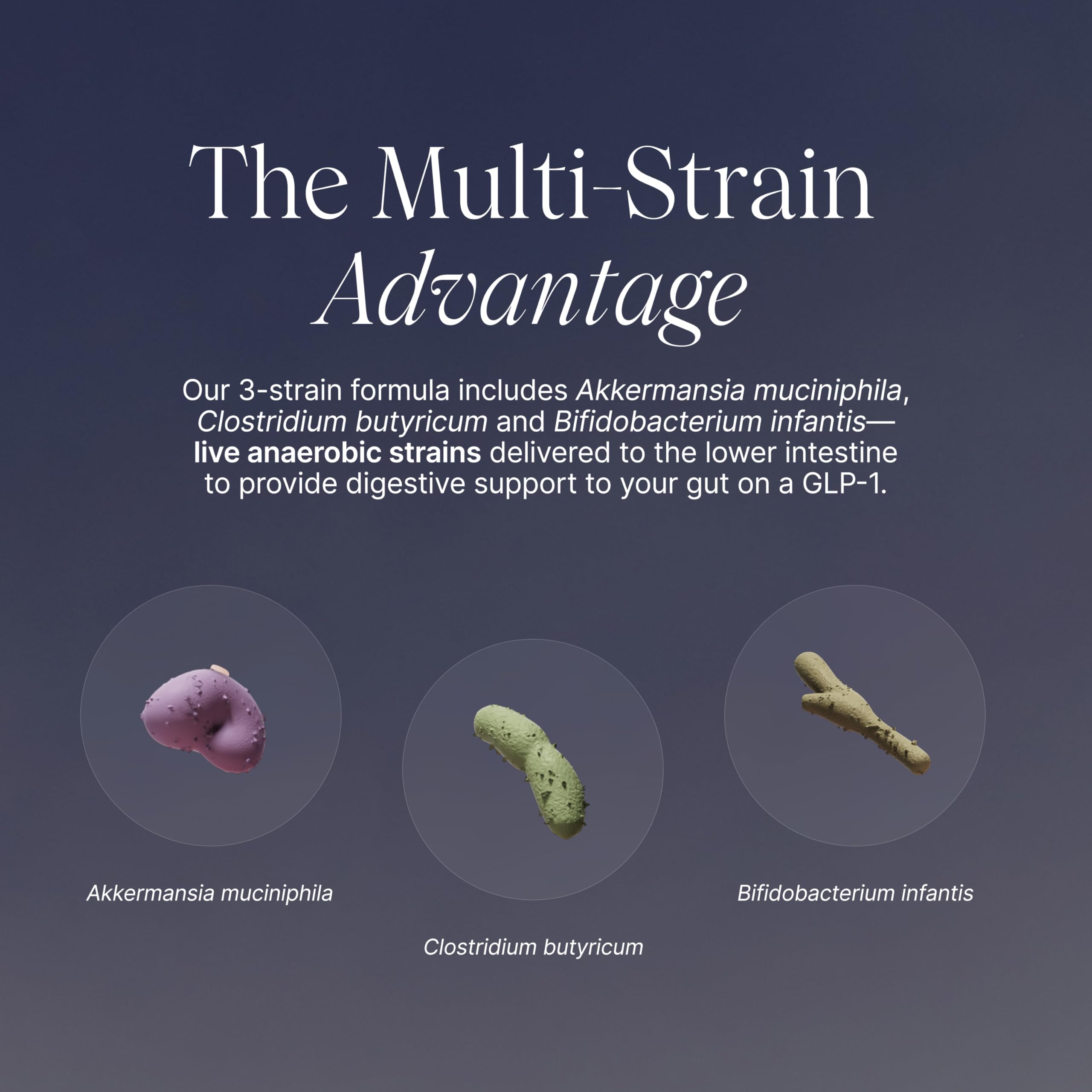 Illustration of Akkermansia muciniphila and other probiotic strains