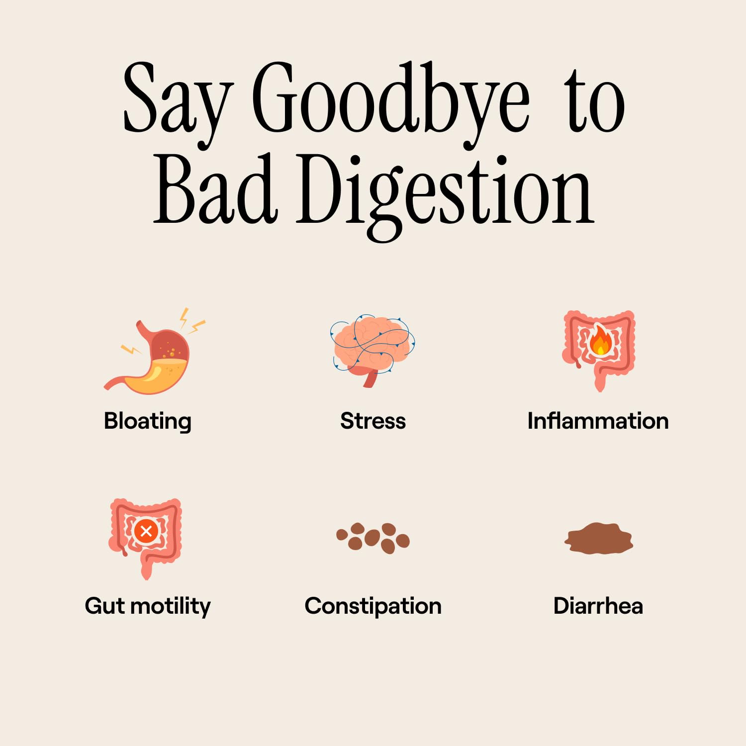 Peppermint and ginger with other herbs for digestion