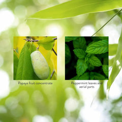 Peppermint leaf illustrating fresh breath and digestive support