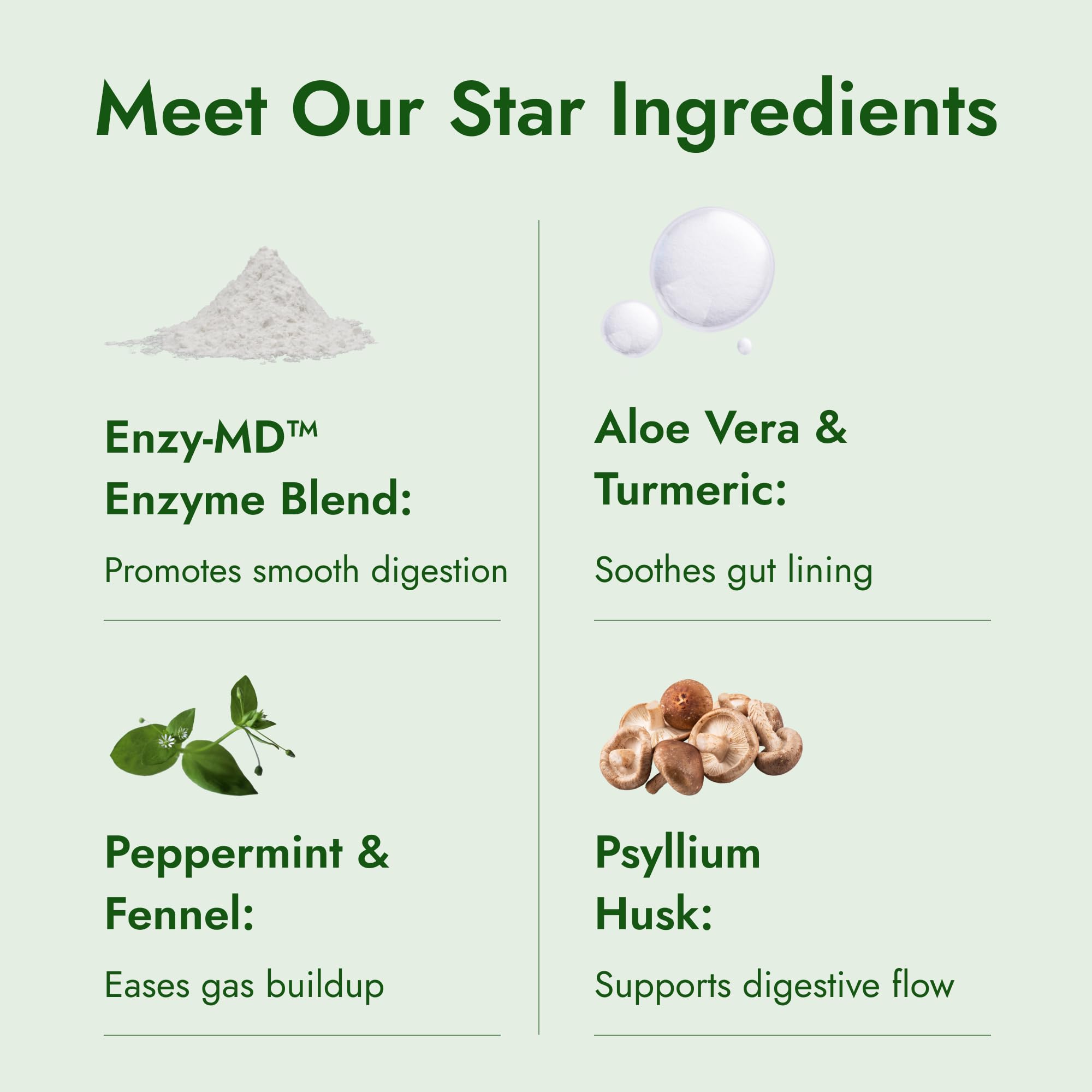 Peppermint oil illustration representing a key ingredient