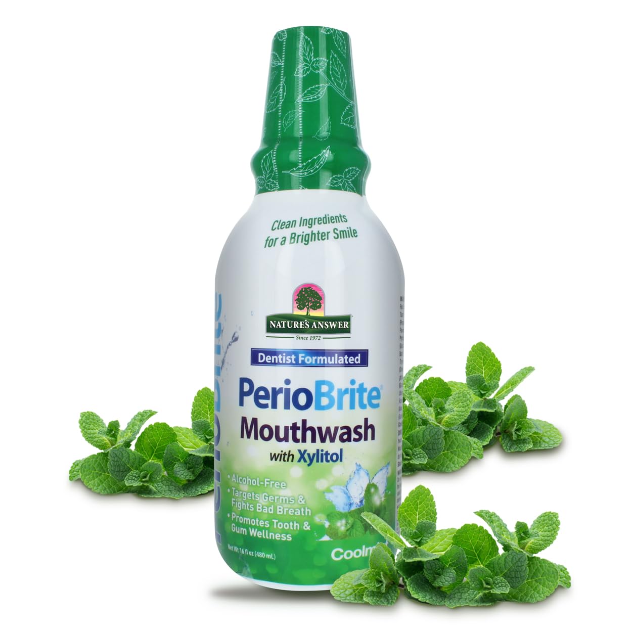Front view of Nature's Answer PerioBrite Cool Mint Mouthwash bottle