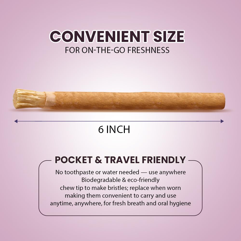 Person brushing teeth with a traditional Miswak toothbrush