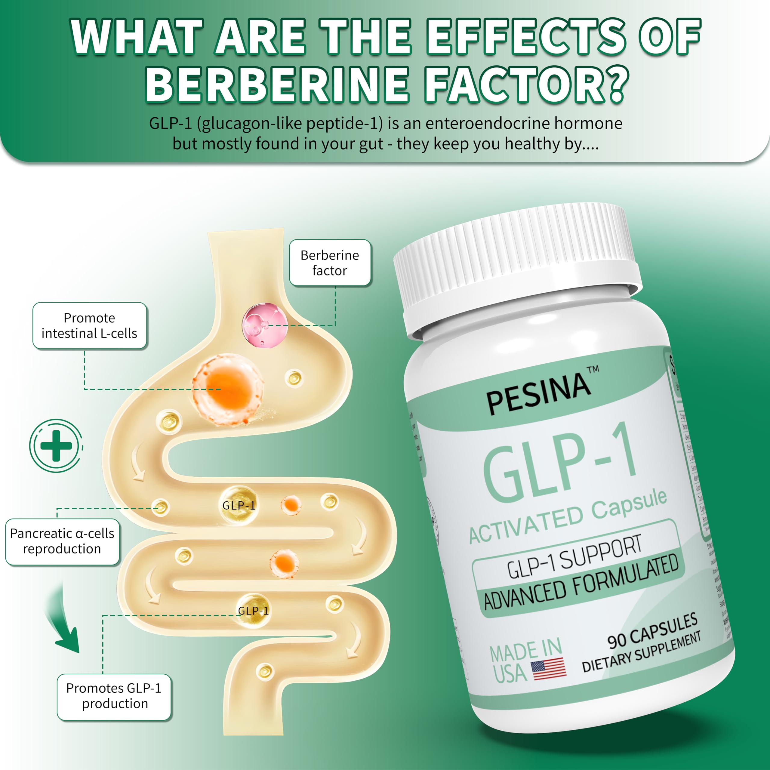 PESINA GLP-1 Berberine and Green Coffee ingredients visualizing natural support