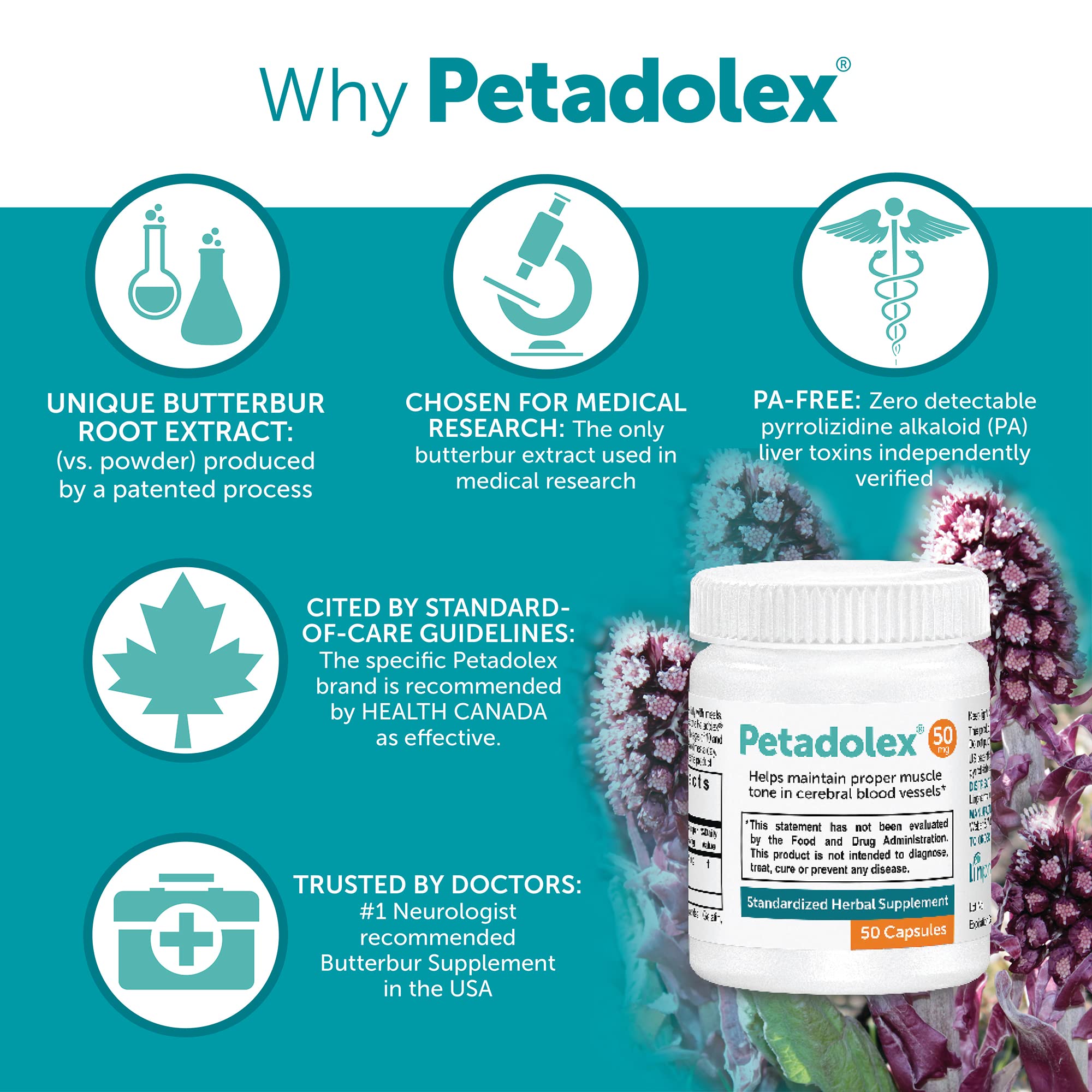 Close-up of Petadolex 50mg butterbur capsule