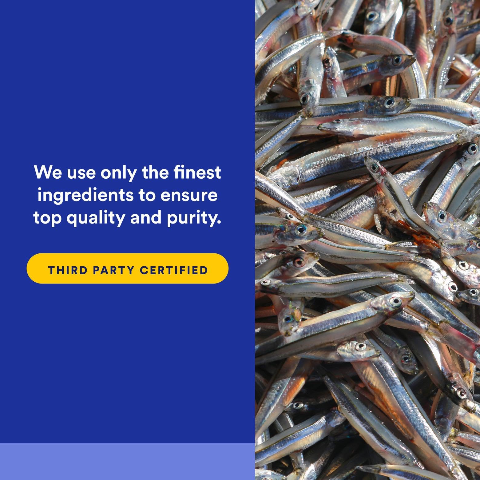 Illustration of pharmaceutical-grade liquid fish oil