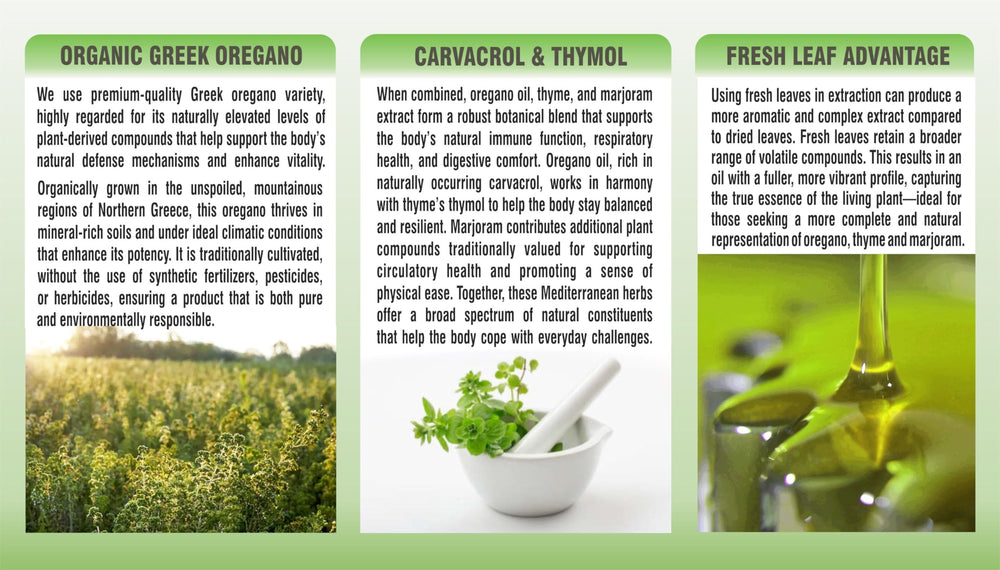 Organic oregano oil extract packaging highlighting Greek oregano