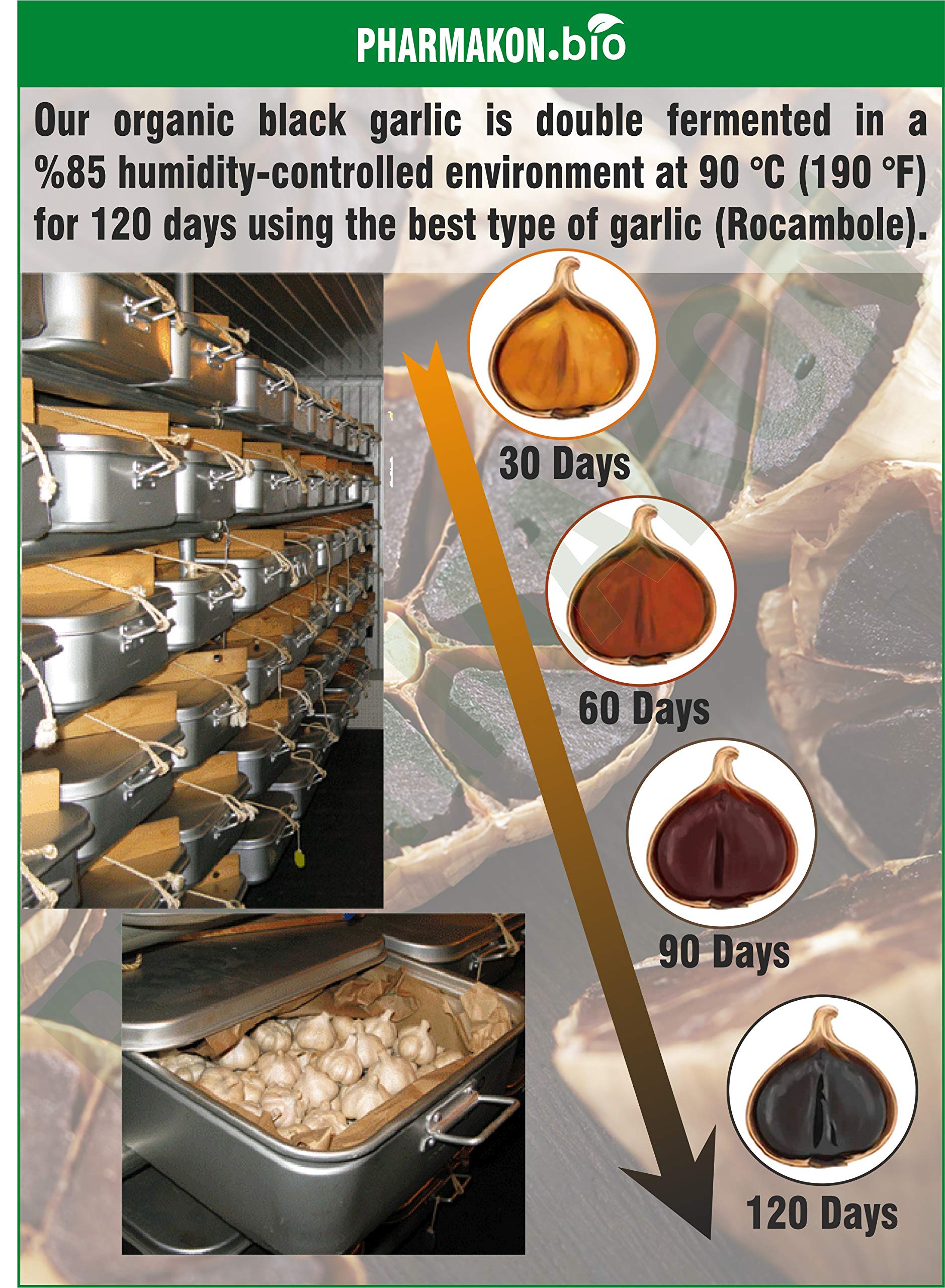 Sourced from Las Pedroñeras, Spain