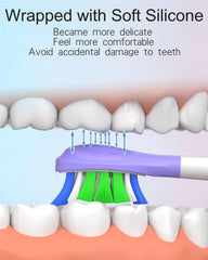 DuPont bristles on the replacement heads