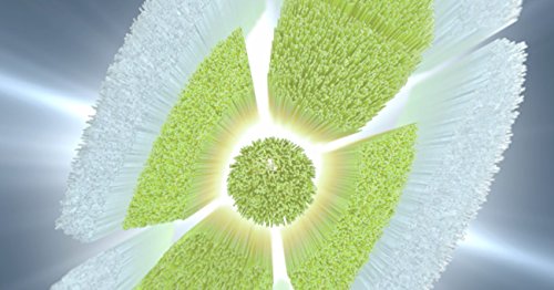Includes 3 white DiamondClean brush heads