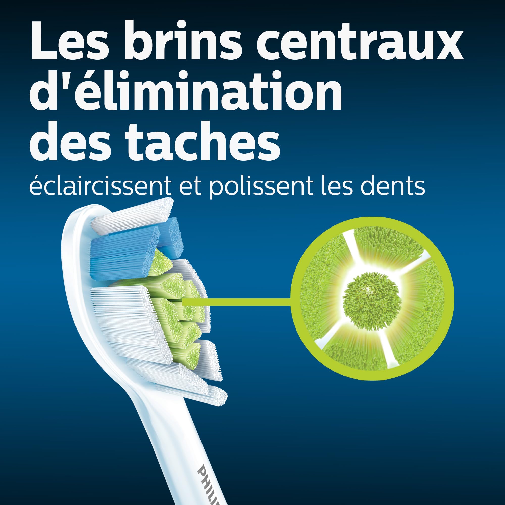Brush heads aligned with a Sonicare handle