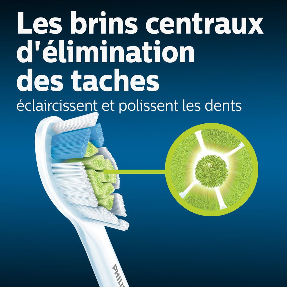 Brush heads aligned with a Sonicare handle
