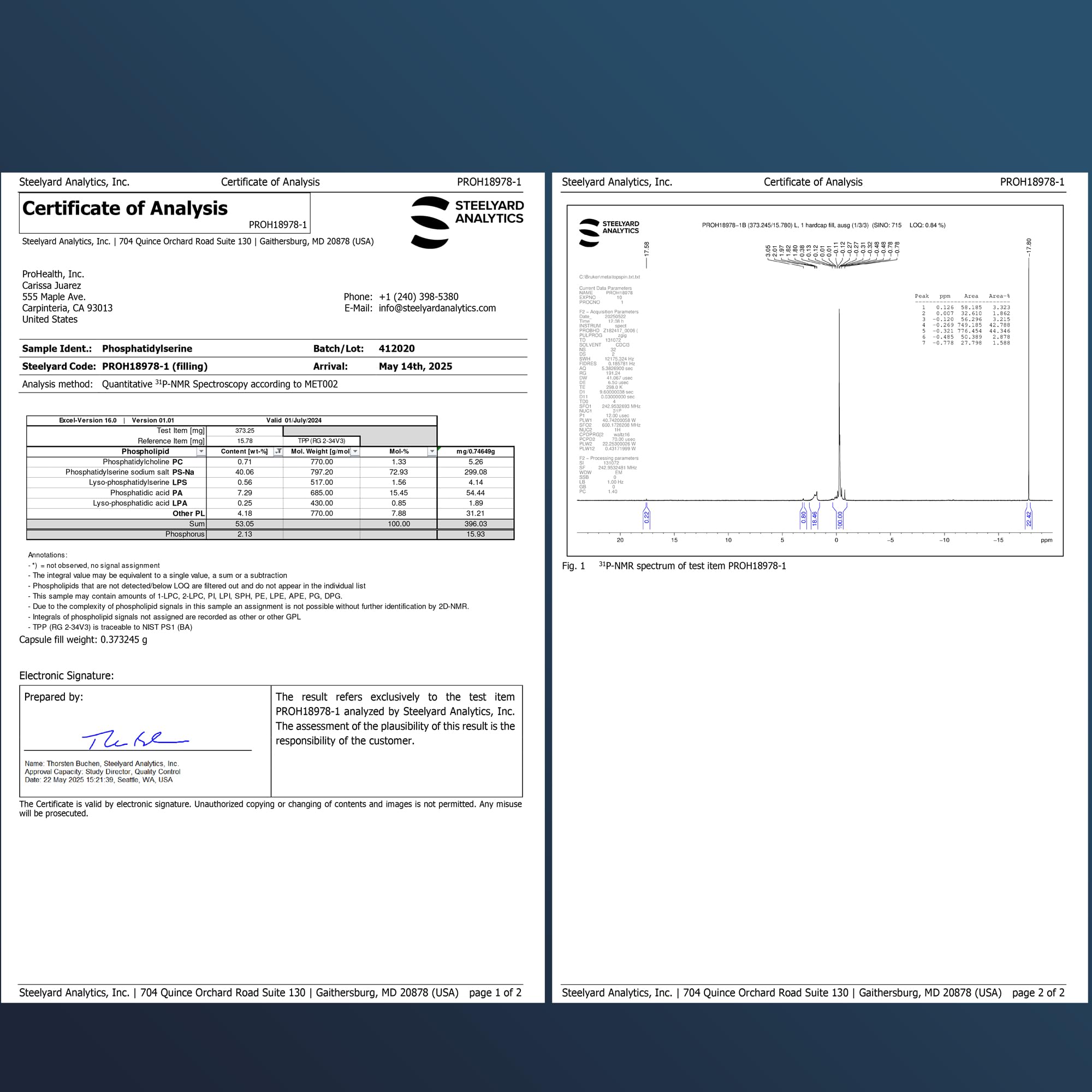 Athlete training and recovery concept highlighting cognitive support