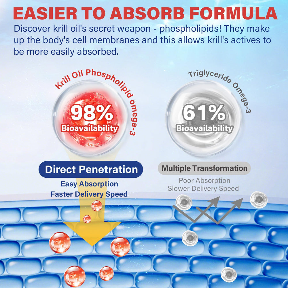 Illustration of phospholipids and astaxanthin in krill oil