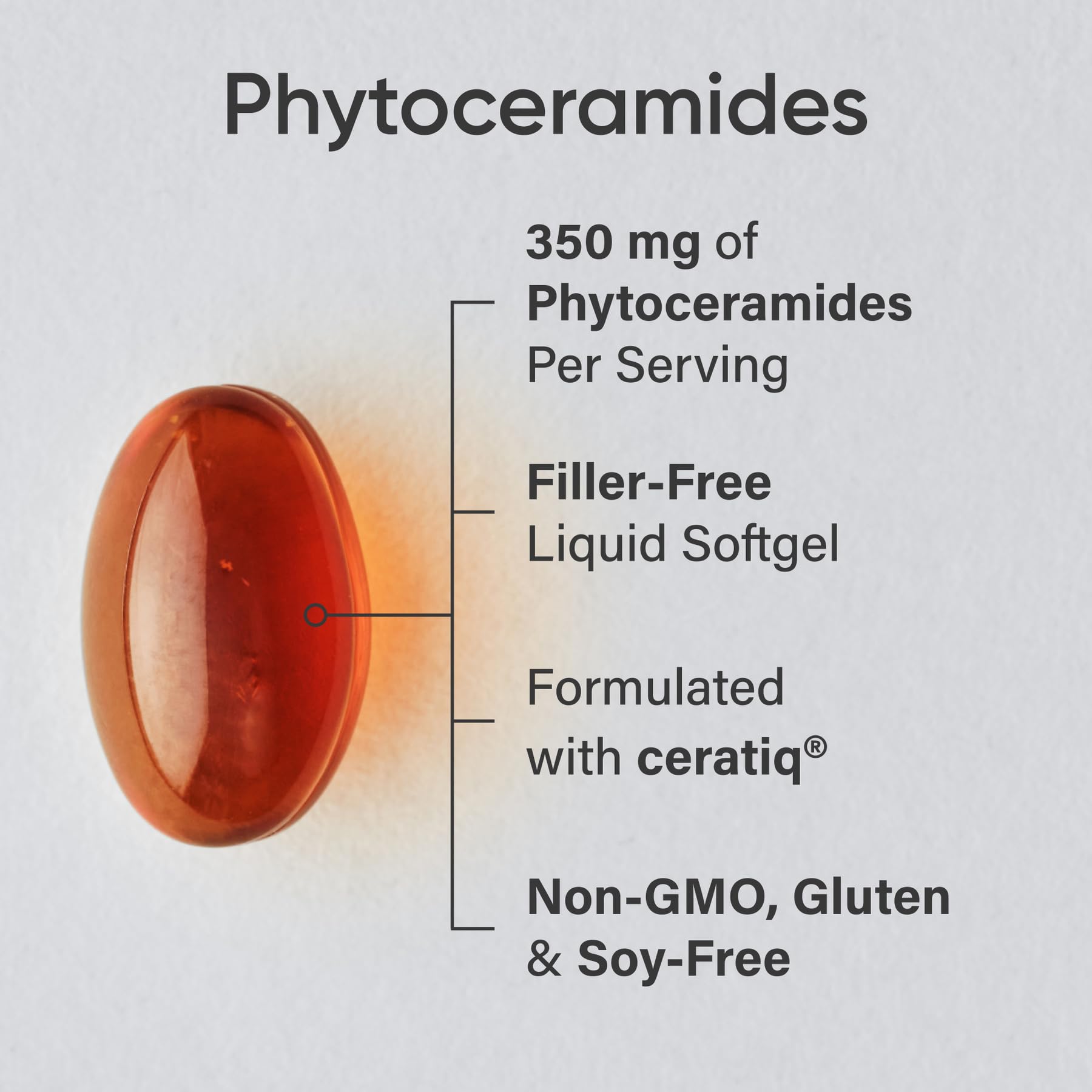 Phytoceramides 350mg softgel bottle back view with supplement facts