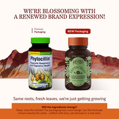 Phytocillin softgels bottle side view