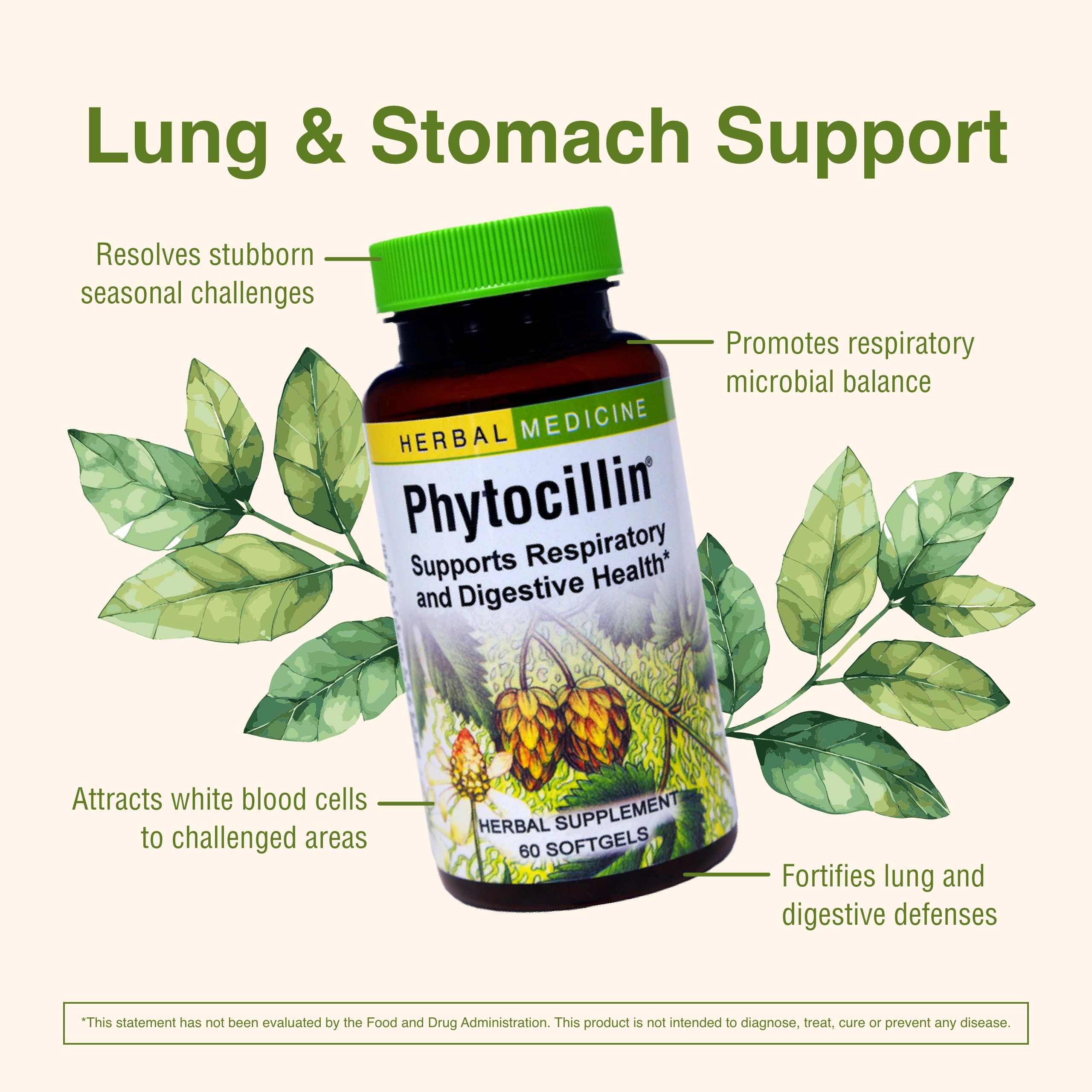 Packaging design of Phytocillin softgels