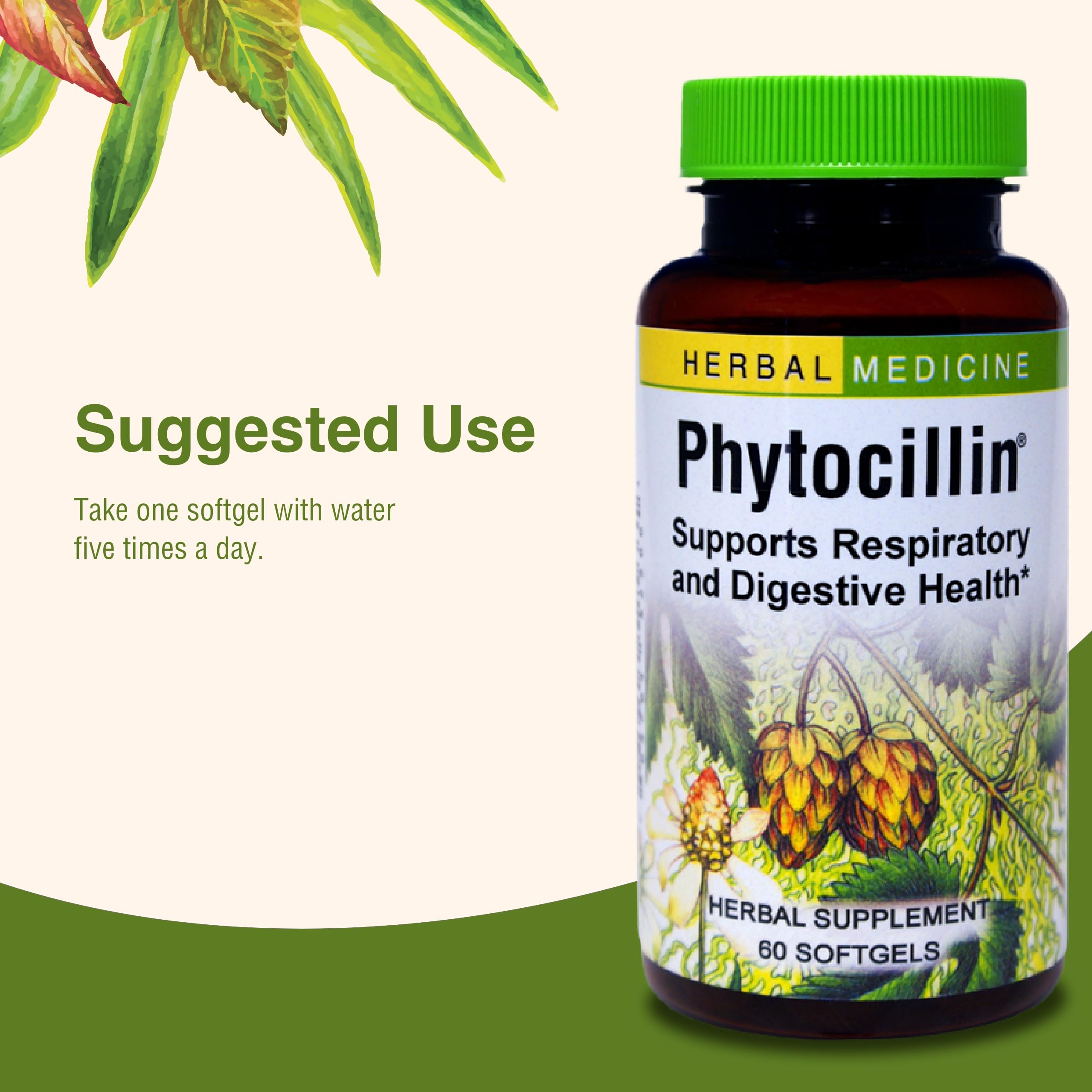 Phytocillin capsules spilling from bottle
