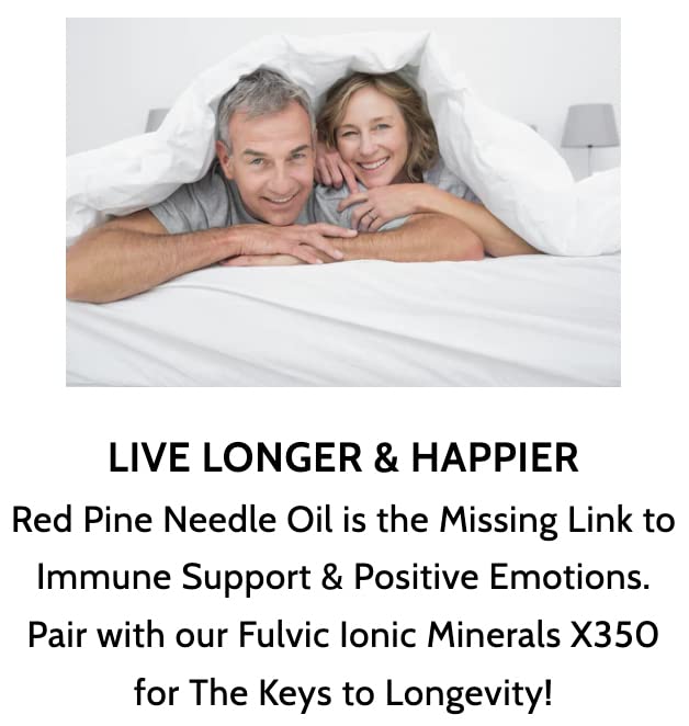 Pinus densiflora oil capsules on white background