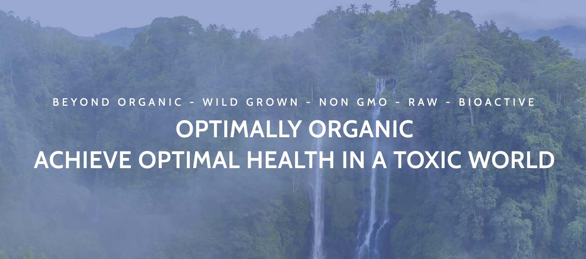 Vegan capsule bottle with natural health imagery