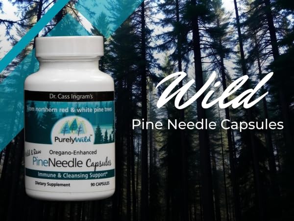 Pine needle and spruce needle powders used in the blend