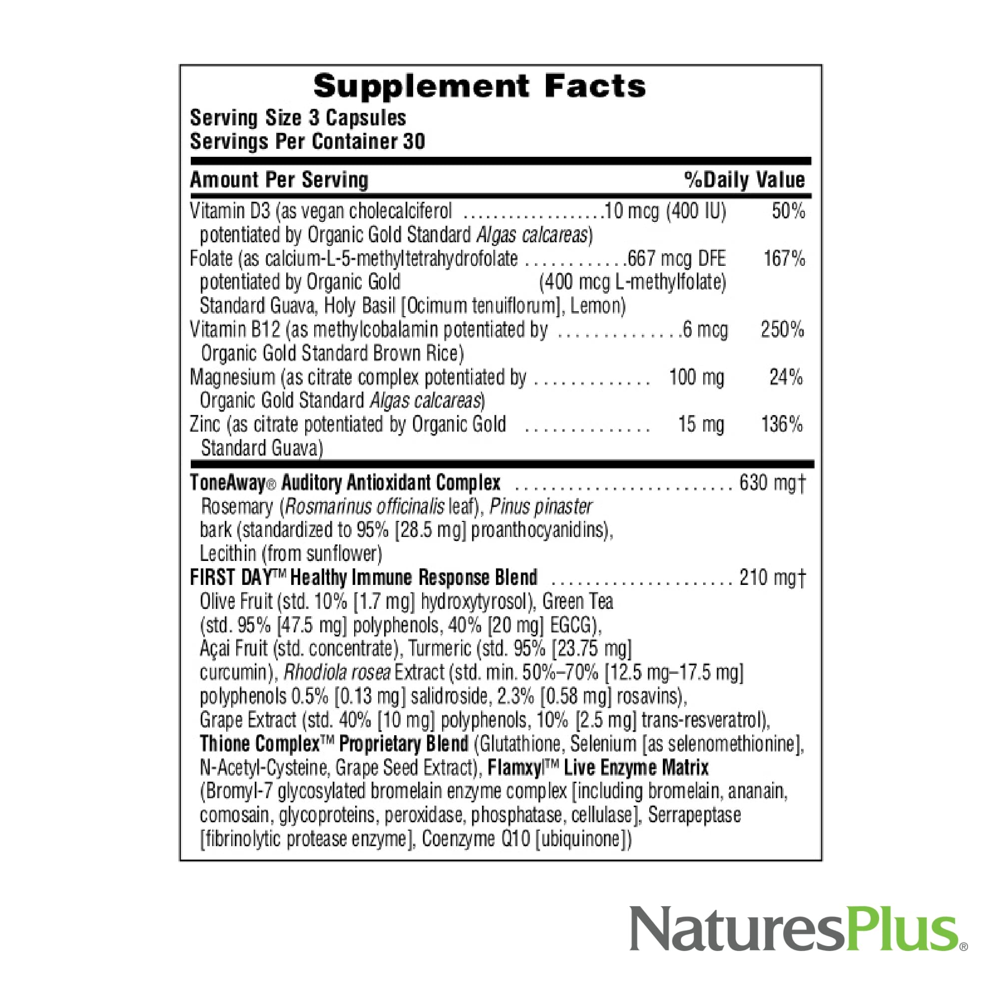 Illustration of pine bark extract used in the formula