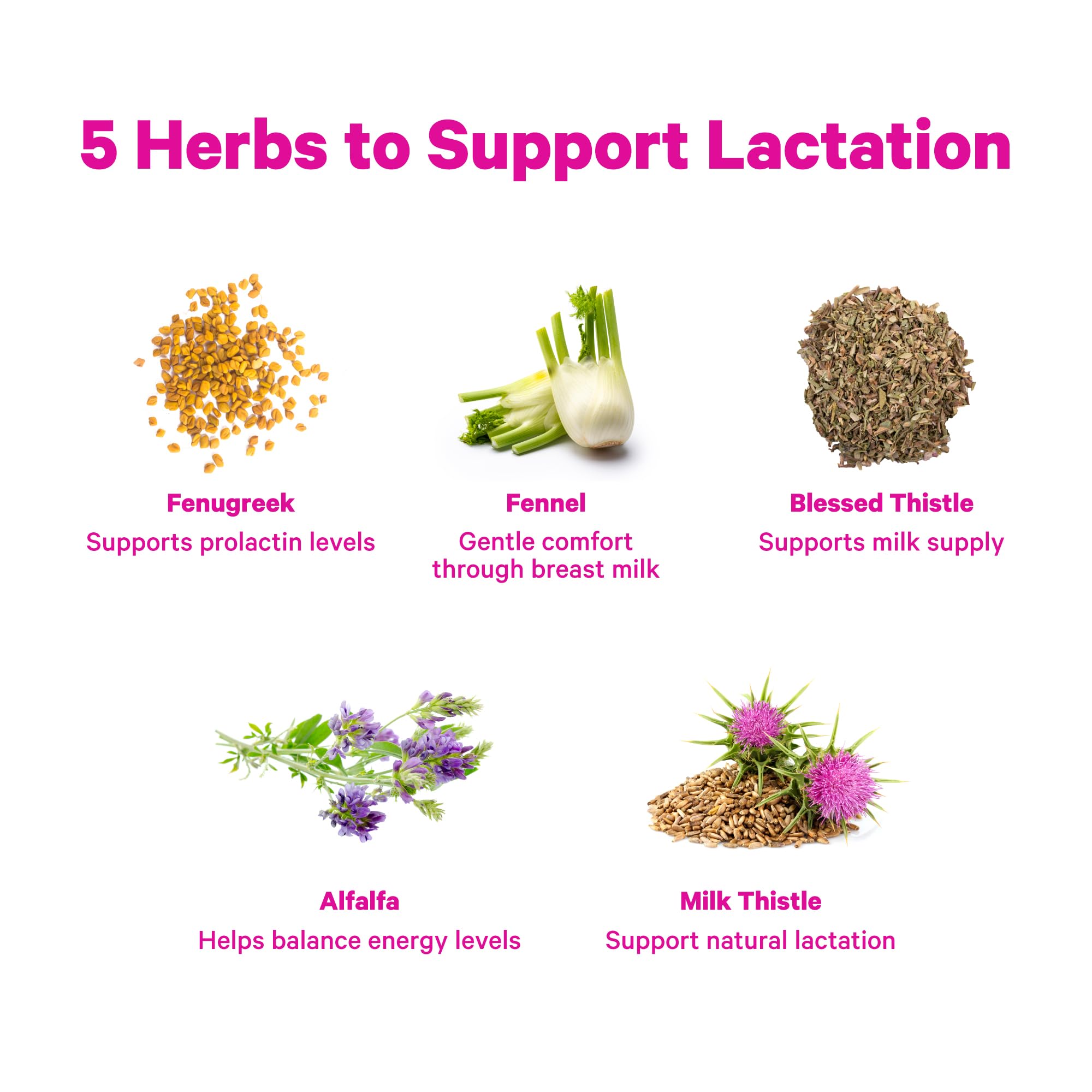 Graphic showing fenugreek, alfalfa, blessed thistle, milk thistle and fennel ingredients