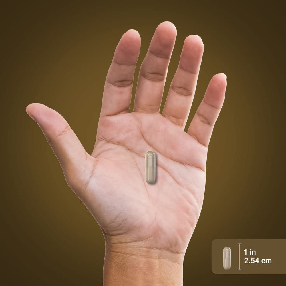 Piping Rock Lions Mane product packaging box with bottle