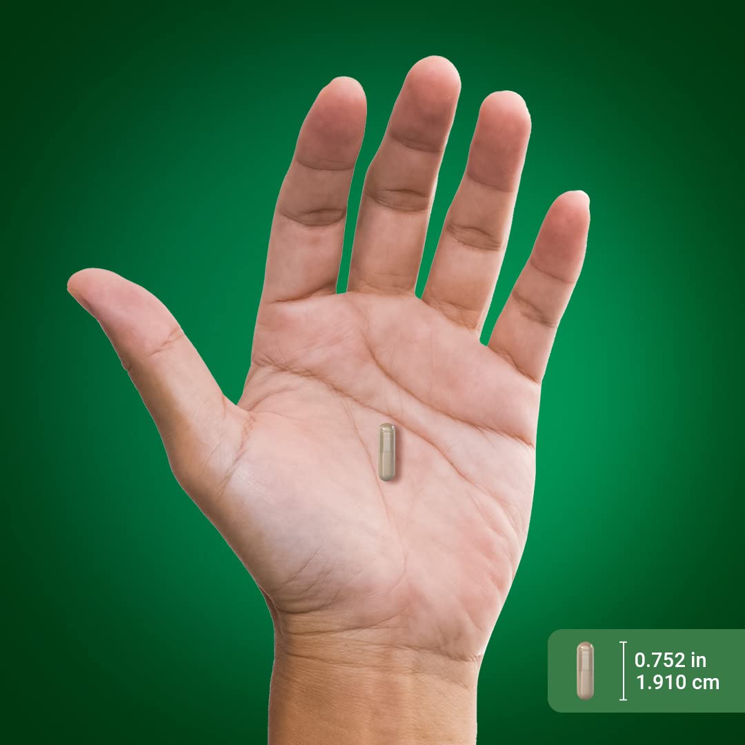 Piping Rock Milk Thistle 100 capsules packaging