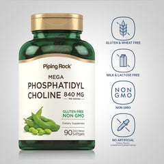 Soy lecithin source for phosphatidyl choline