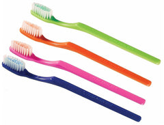 Mintburst prepasted toothbrushes in assorted colors, 36-pack, individually wrapped.
