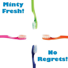 Open-pack shot showing soft bristles and sturdy plastic handle.