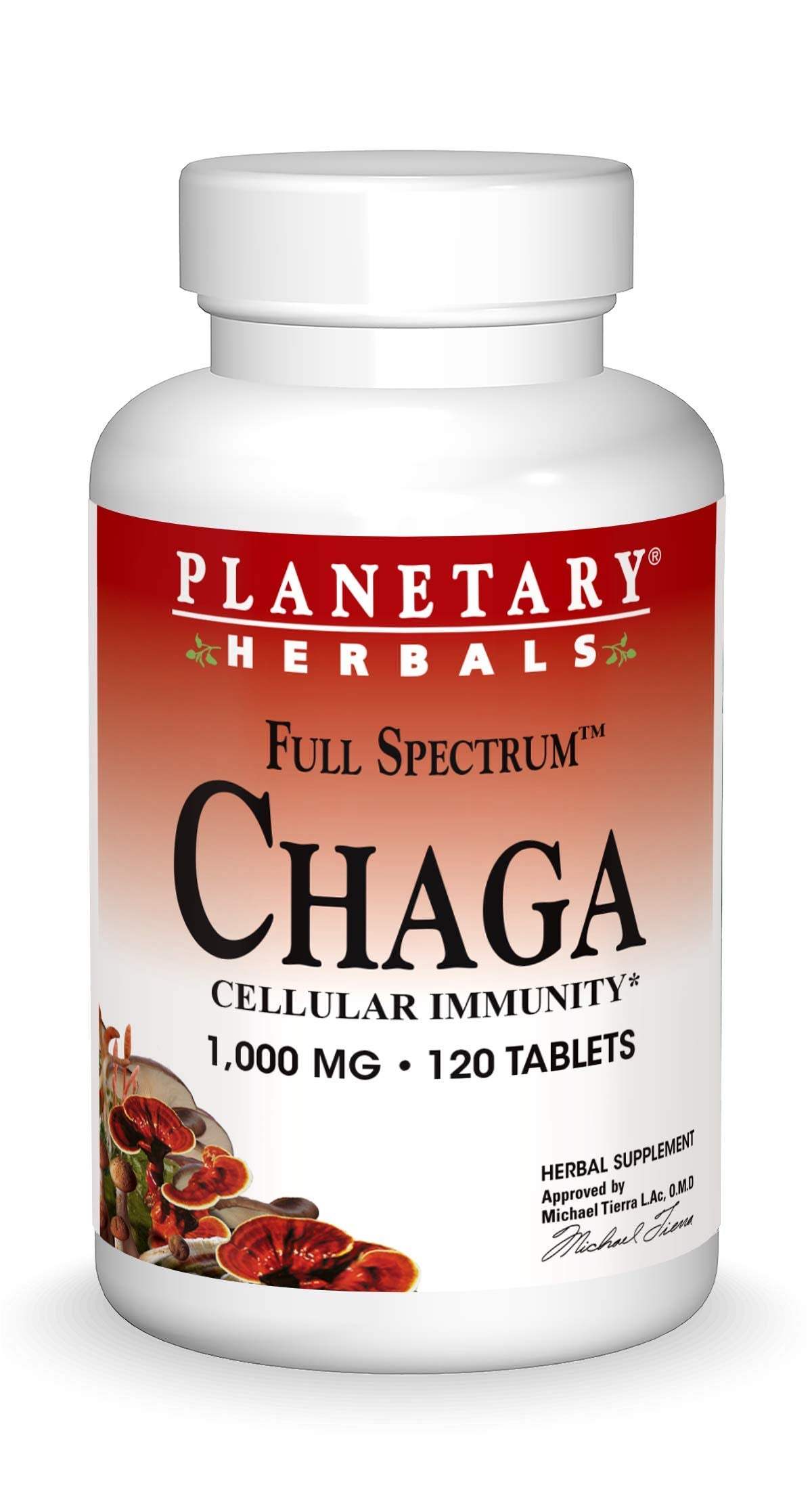 Planetary Herbals Chaga Full Spectrum bottle