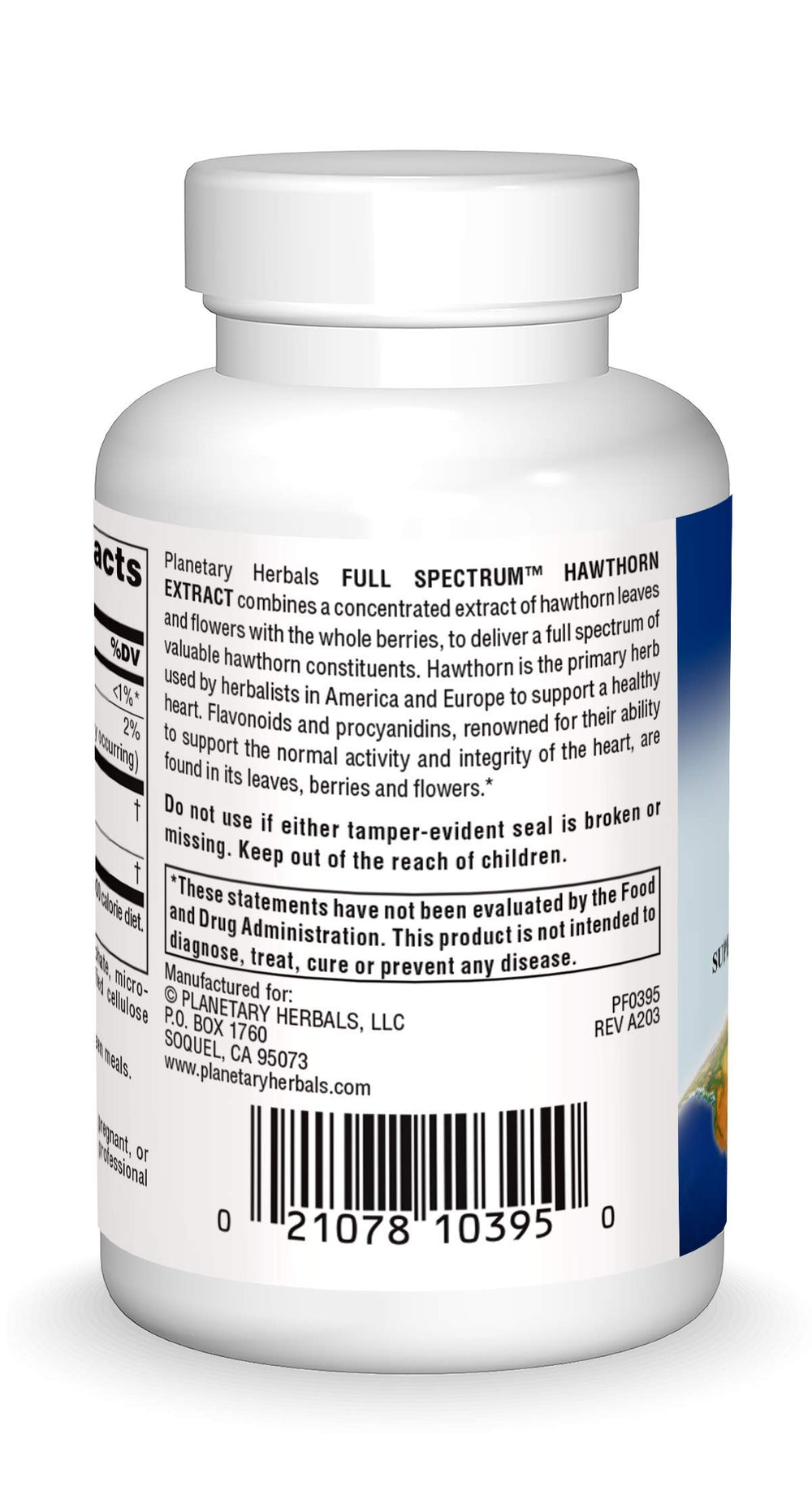 Leaves, flowers and berries of hawthorn plant