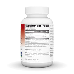 Lion's Mane mushroom artwork on packaging