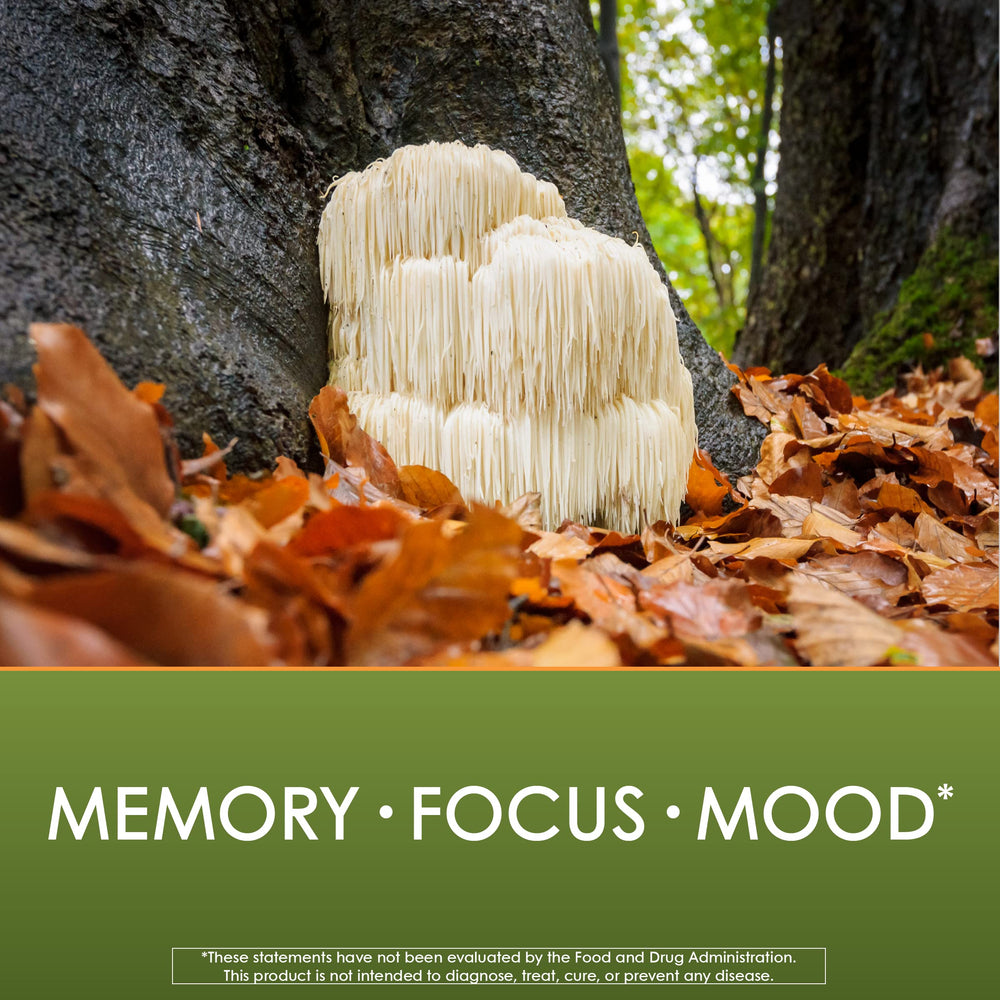 Back packaging showing manufacturing information