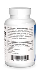 Rhodiola Rosea extract full spectrum capsules close-up