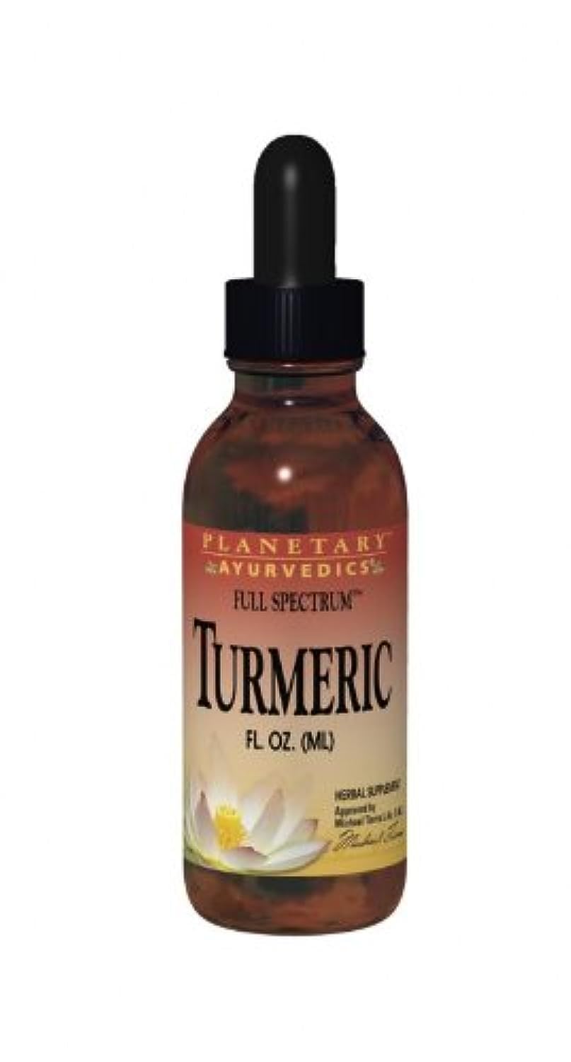 Planetary Herbals Turmeric Extract Full Spectrum Liquid bottle with dropper 4 oz