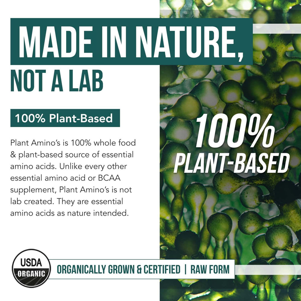 Spirulina and chlorella sources in Plant Aminos