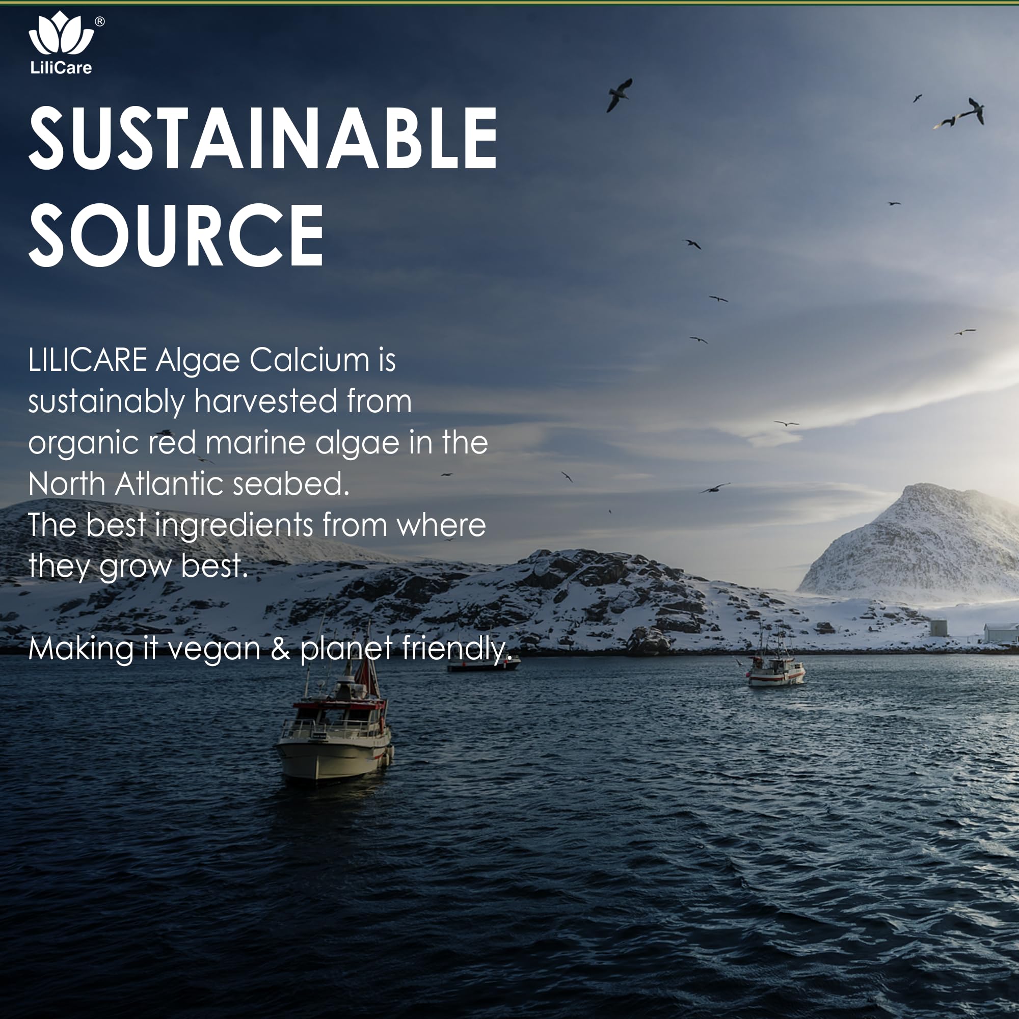 Sustainably sourced red algae calcium branding