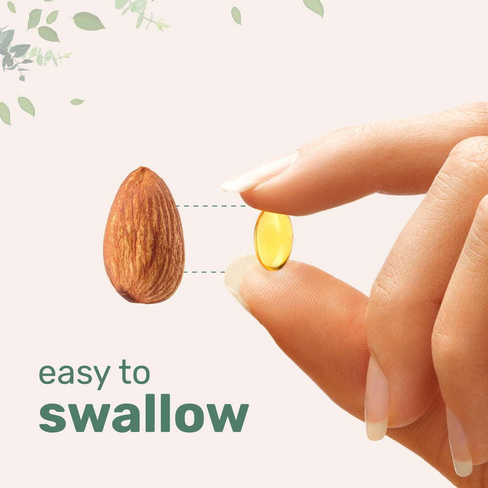 Plant-based omega-3 ingredients sources including algae oil and flaxseed.