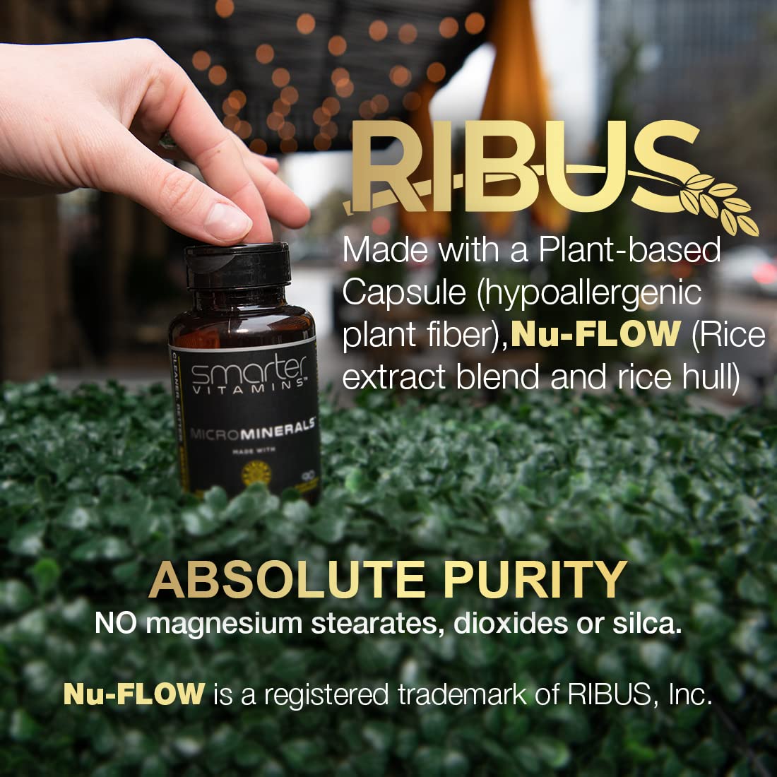 Plant-based vegan capsules product image