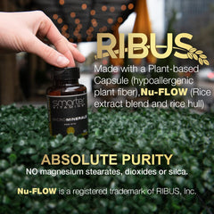 Plant-based vegan capsules product image