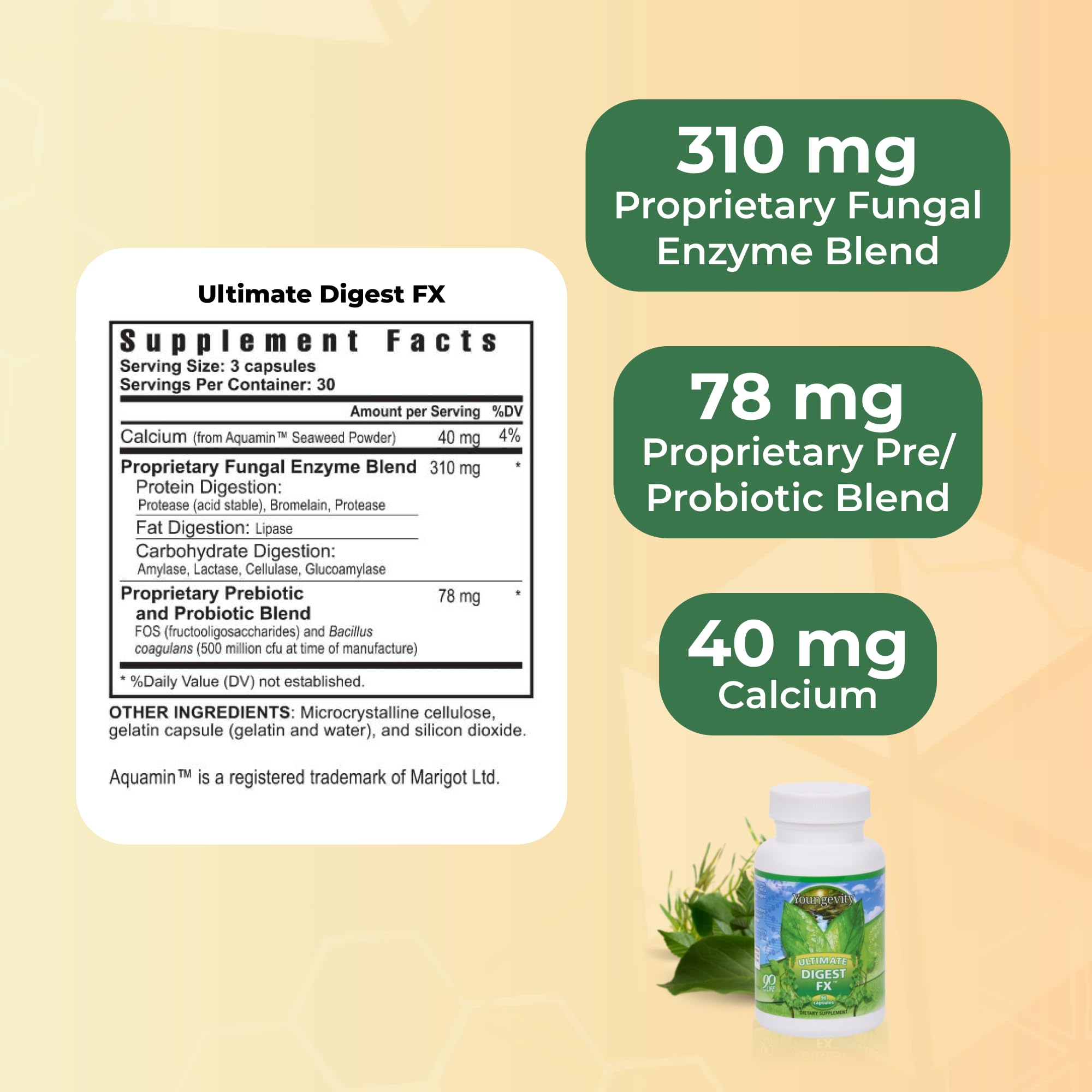 Plant enzyme blend formulation