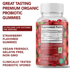 Close-up of Plant.O Strawberry Probiotic Gummies showing shape and texture
