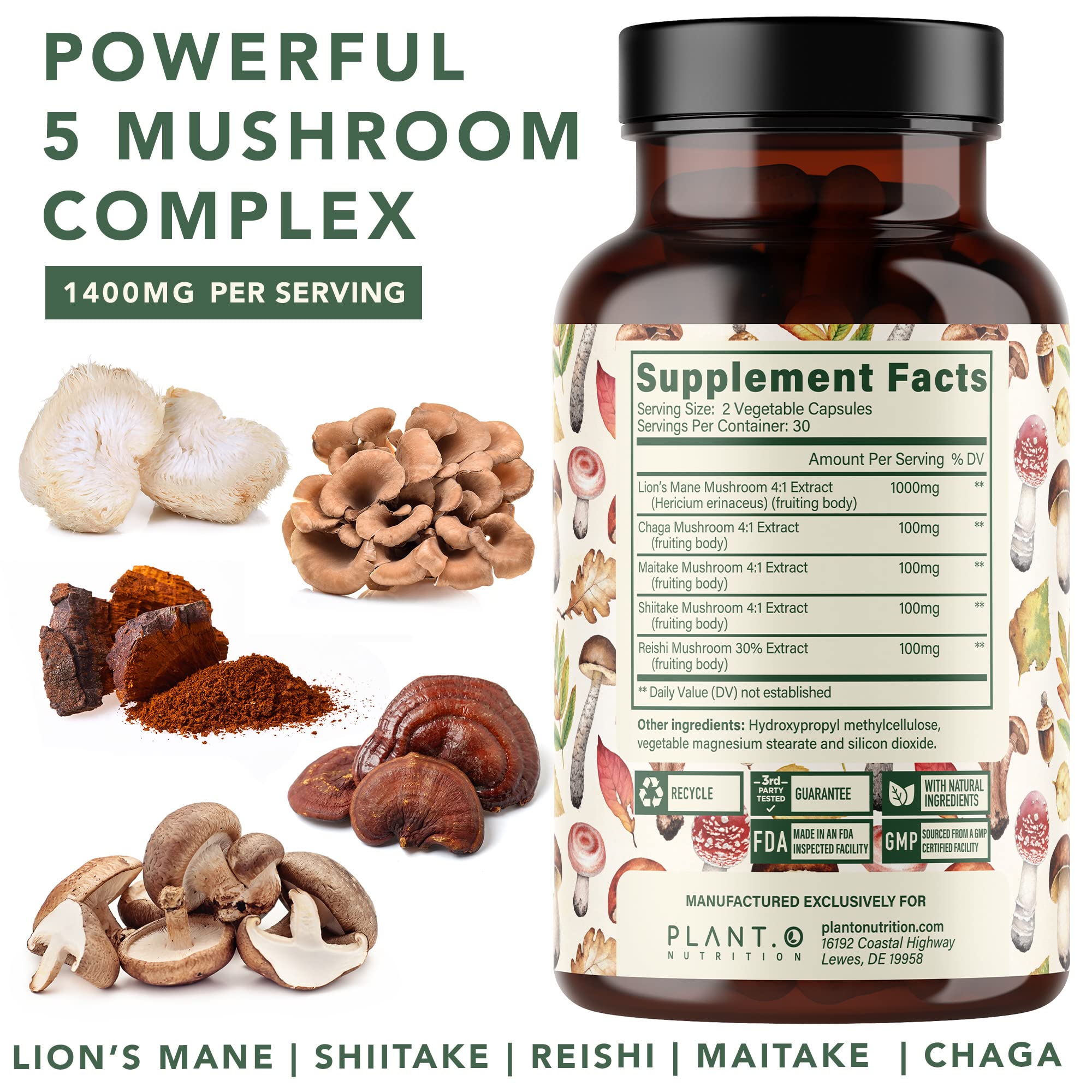 Ingredients: Lion's Mane, Reishi, Chaga, Maitake, Shiitake