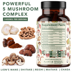 Ingredients: Lion's Mane, Reishi, Chaga, Maitake, Shiitake
